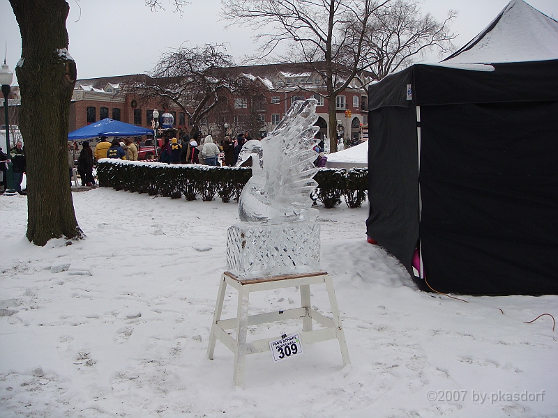 026 Plymouth Ice Show [2008 Jan 26].JPG - Scenes from the Plymouth, Michigan Annual Ice Show.